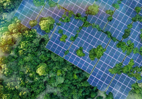 40001百老汇·(电子游戏)集团公司