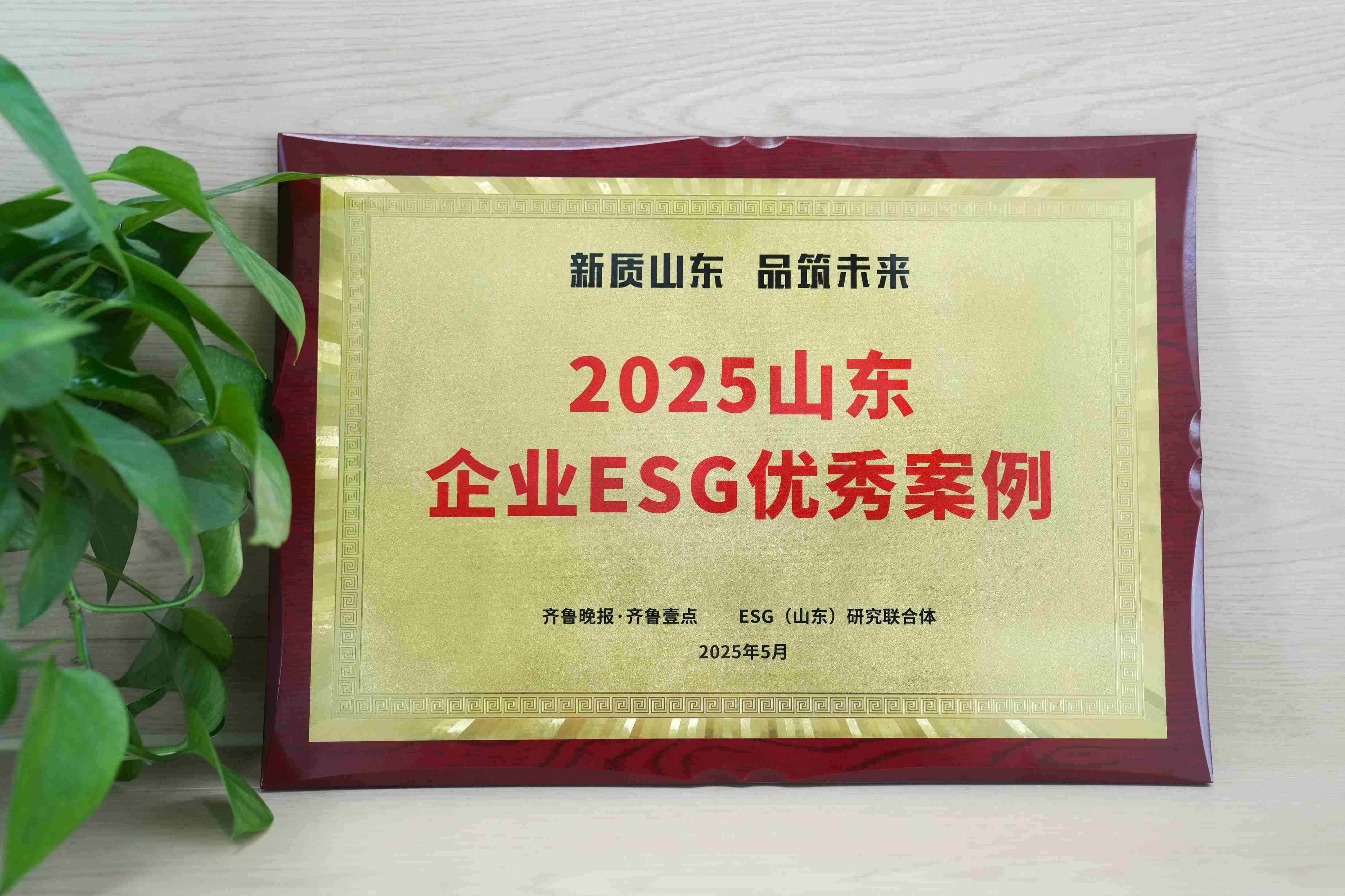 40001百老汇入选2025山东企业ESG优良案例